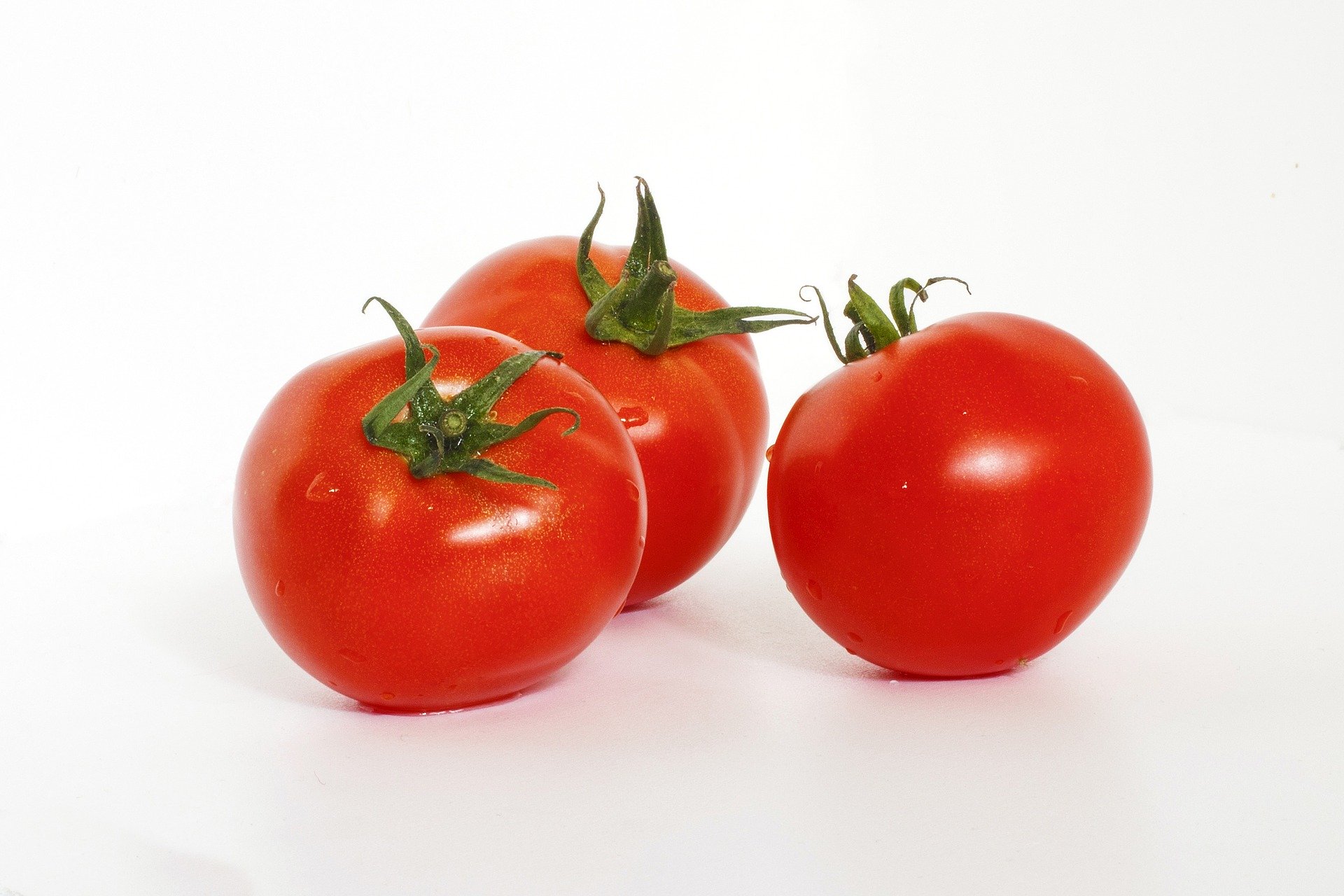 tomato-877019_1920
